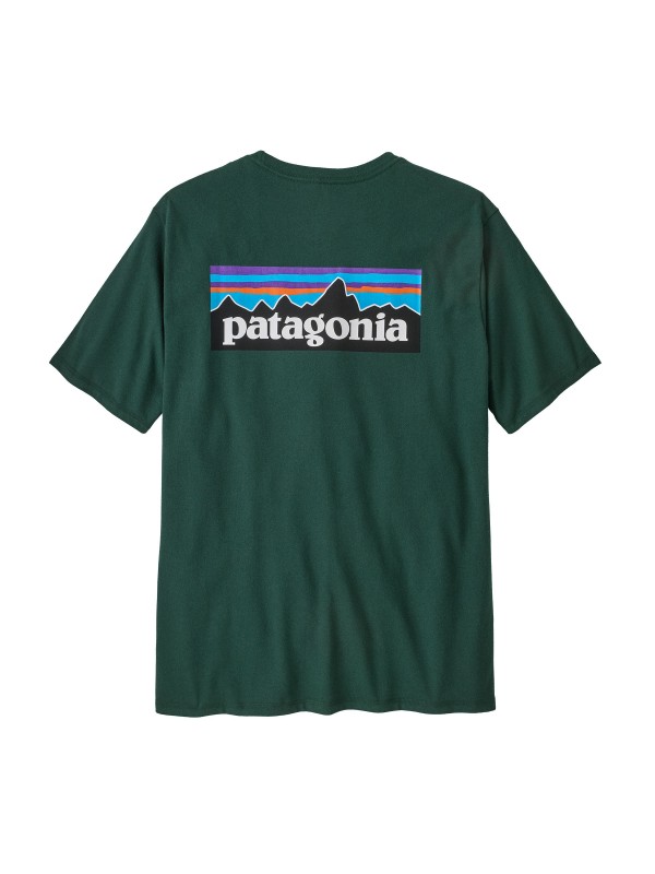 Patagonia Men's P-6 Logo Responsibili-Tee : Cascade Green