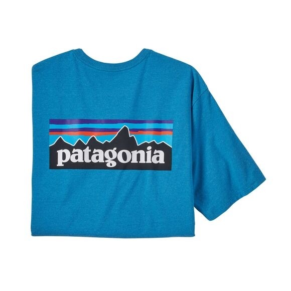 Patagonia Men's P-6 Logo Responsibili-Tee : Anacapa Blue